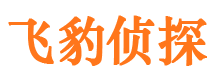 饶阳外遇出轨调查取证